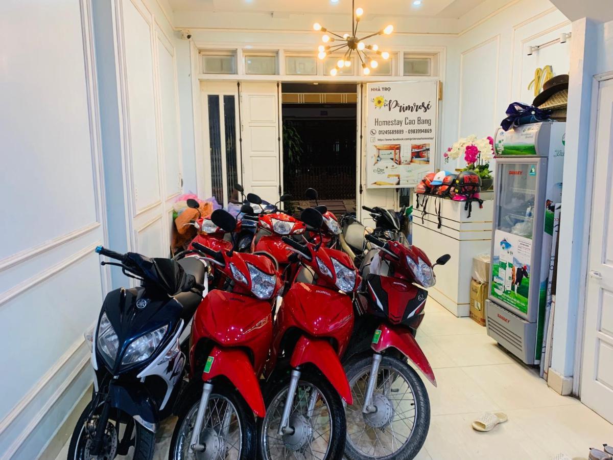 Primrose Homestay קאו באנג מראה חיצוני תמונה