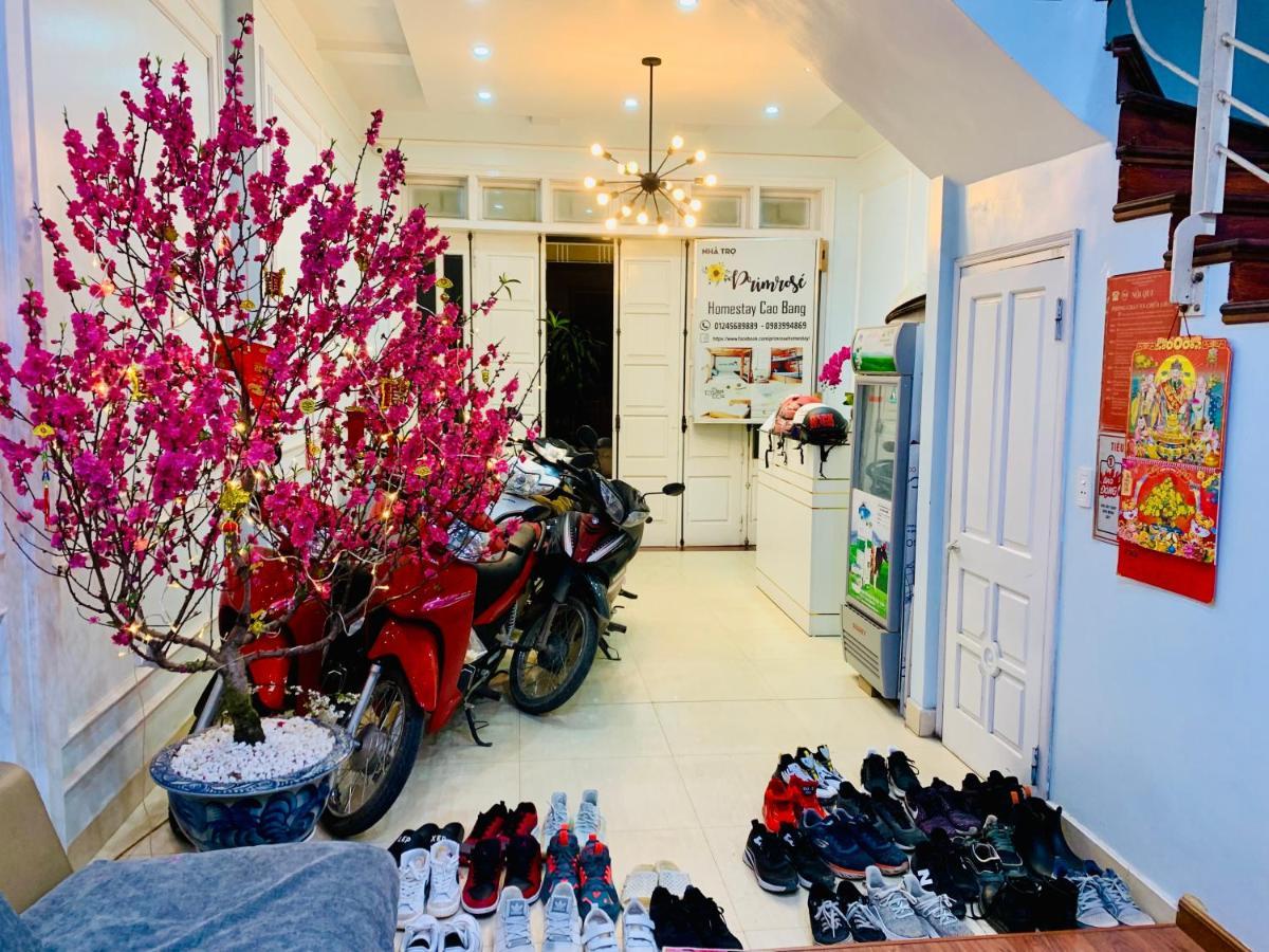Primrose Homestay קאו באנג מראה חיצוני תמונה