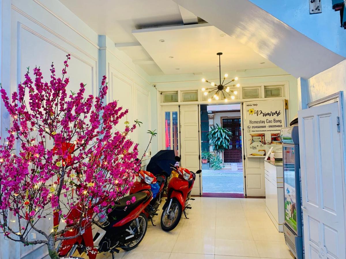 Primrose Homestay קאו באנג מראה חיצוני תמונה