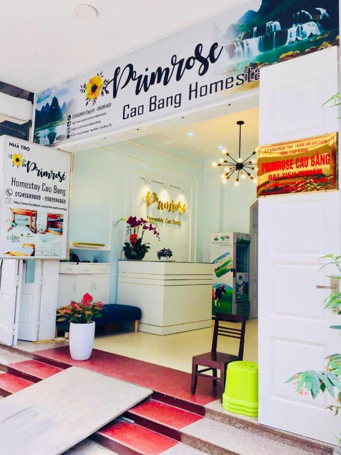 Primrose Homestay קאו באנג מראה חיצוני תמונה