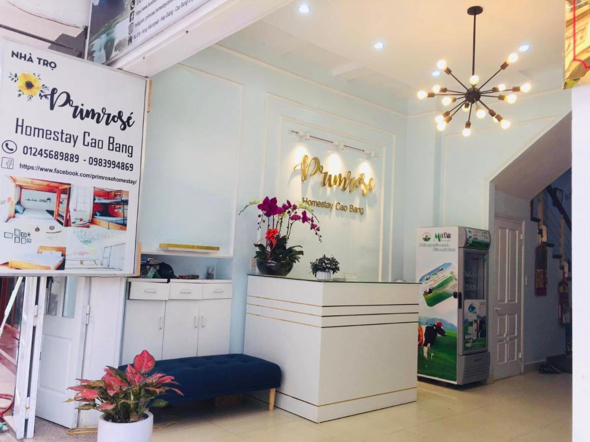 Primrose Homestay קאו באנג מראה חיצוני תמונה
